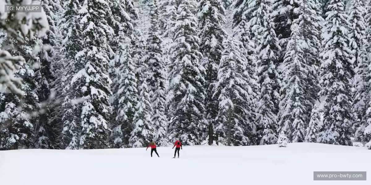 从现场到屏幕,从尖叫到欢呼!🌍🎥 我们始终与你的热爱同频共振!